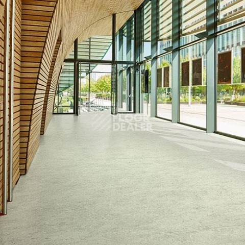 Forbo Marmoleum Ohmex 73032 mist grey фото 2 | FLOORDEALER